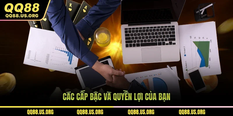 Các cấp bậc và quyền lợi của bạn