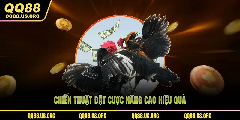 Chiến thuật đặt cược nâng cao trực tiếp đá gà C1