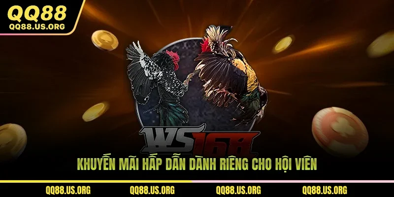 Dành riêng cho hội viên - Ưu đãi không thể bỏ lỡ!