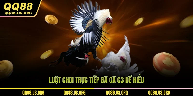 Luật chơi trực tiếp đá gà C3 dễ hiểu