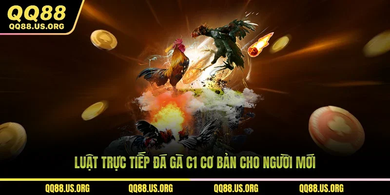 Luật trực tiếp đá gà C1 cơ bản cho người mới