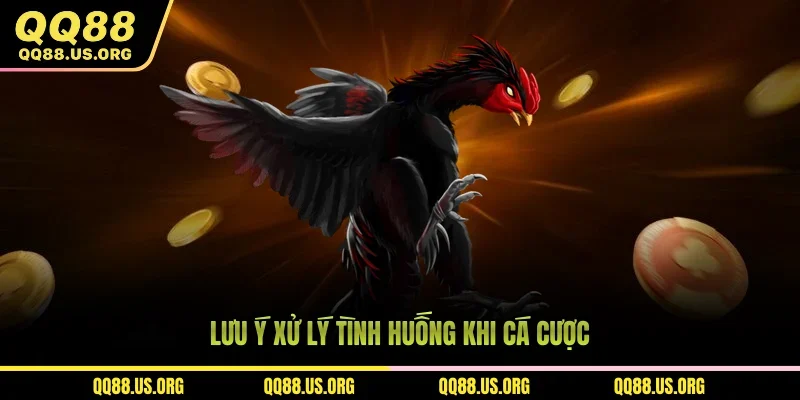 Lưu ý xử lý tình huống khi cá cược