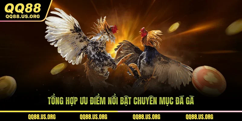 Tổng hợp ưu điểm nổi bật chuyên mục đá gà