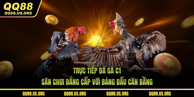 Trực Tiếp Đá Gà C1 – Sân Chơi Đẳng Cấp Với Bảng Đấu Cân Bằng